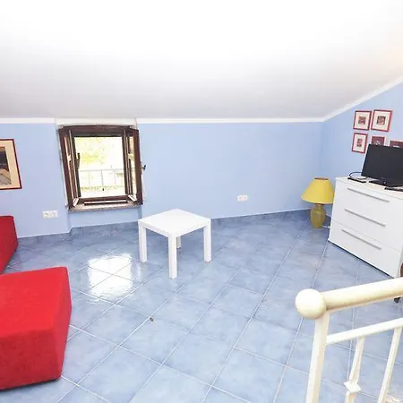 Vila Violeta Villa