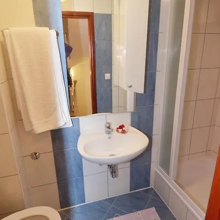 Vila Vila Violeta